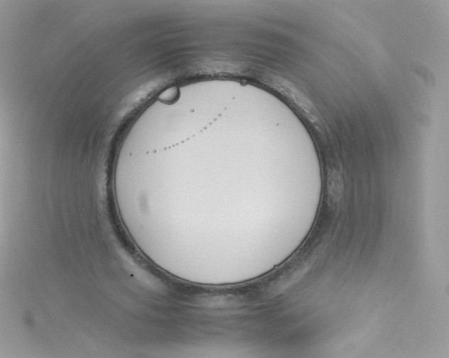 X0000115340629200911231433