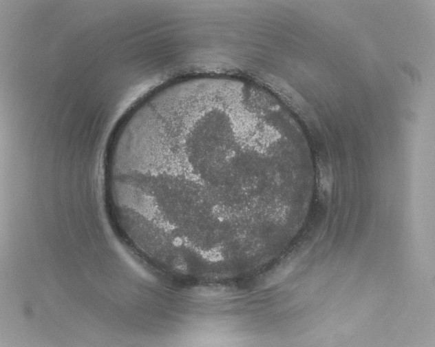 X0000115340630200911231433