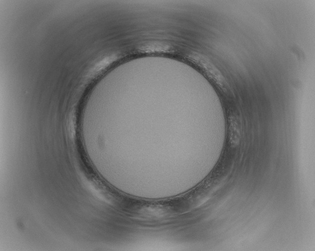 X0000115340631200911231433