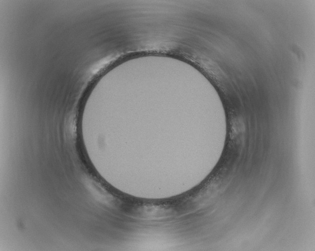 X0000115340632200911231433