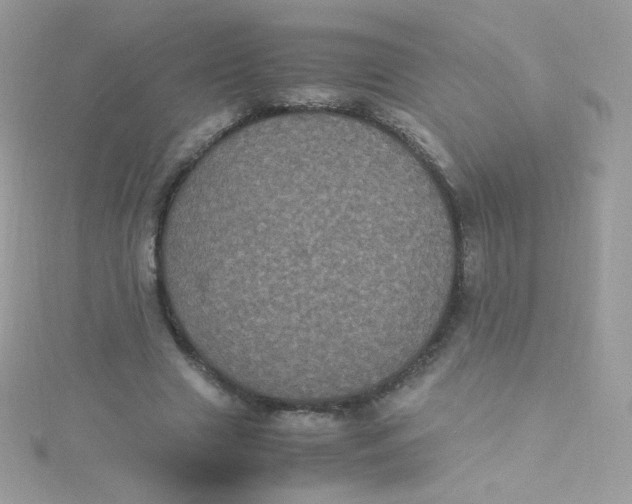 X0000115340633200911231433