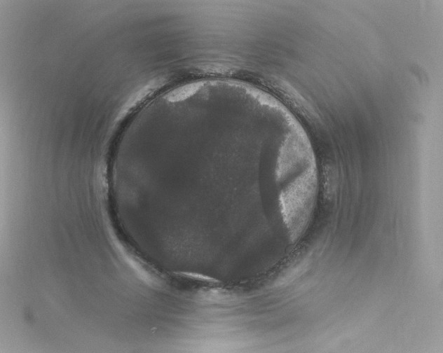 X0000115340634200911231433