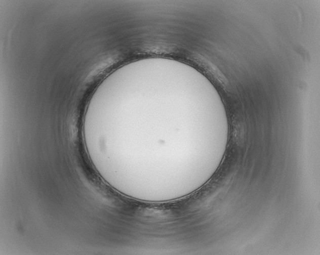 X0000115340635200911231433