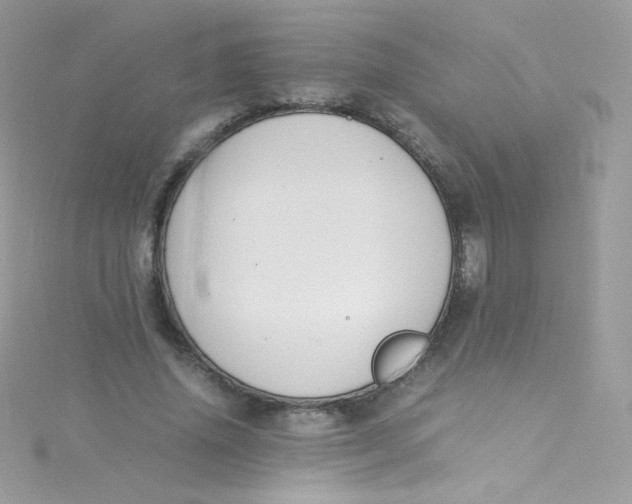 X0000115340636200911231433