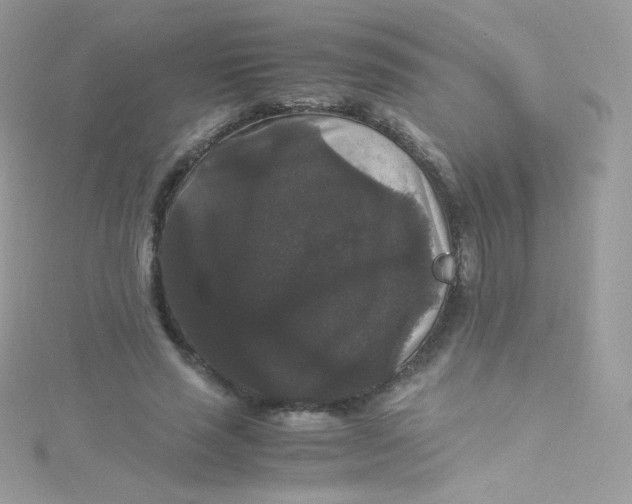 X0000115340637200911231433