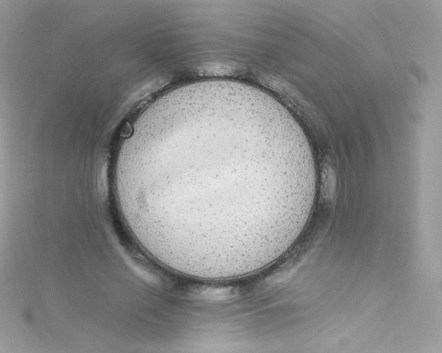 X0000115340638200911231433