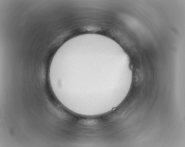 X0000115340639200911231433