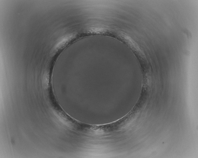 X0000115340640200911231433