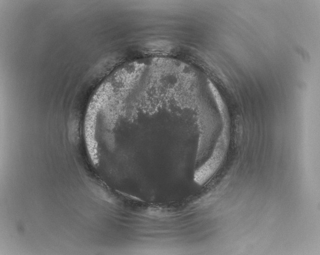 X0000115340641200911231433