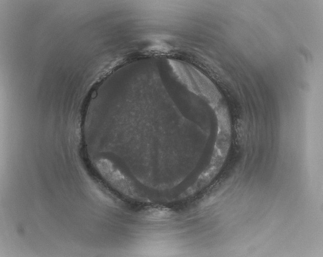 X0000115340642200911231433