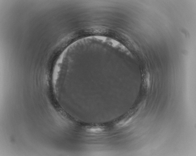 X0000115340643200911231433