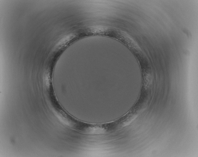 X0000115340644200911231433