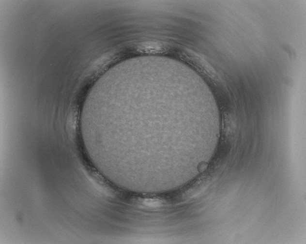 X0000115340645200911231433