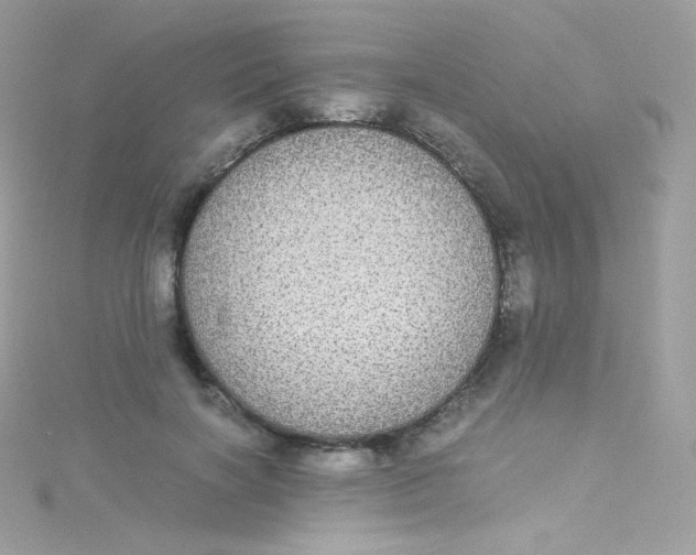 X0000115340646200911231433