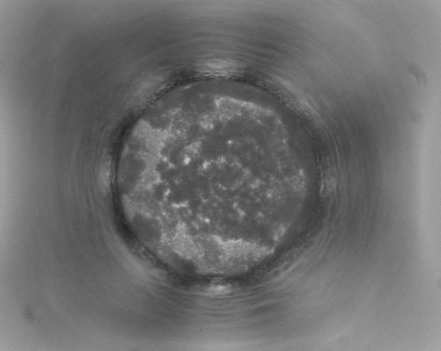 X0000115340647200911231433