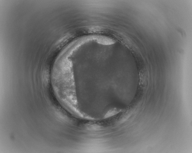 X0000115340648200911231433