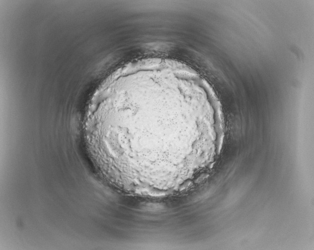 X0000115340649200911231433