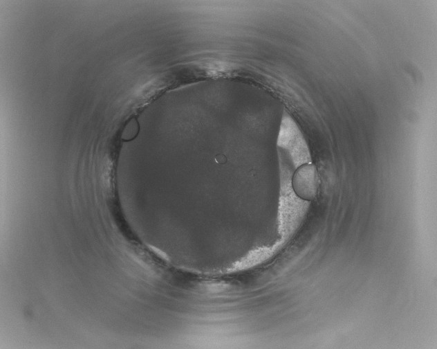 X0000115340650200911231433