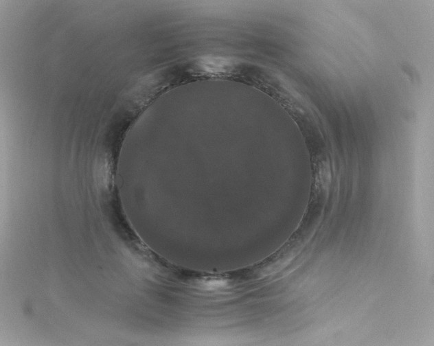 X0000115340651200911231433