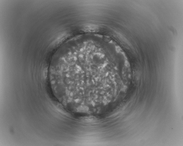 X0000115340652200911231433