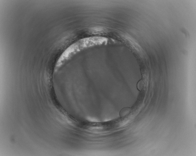 X0000115340653200911231433