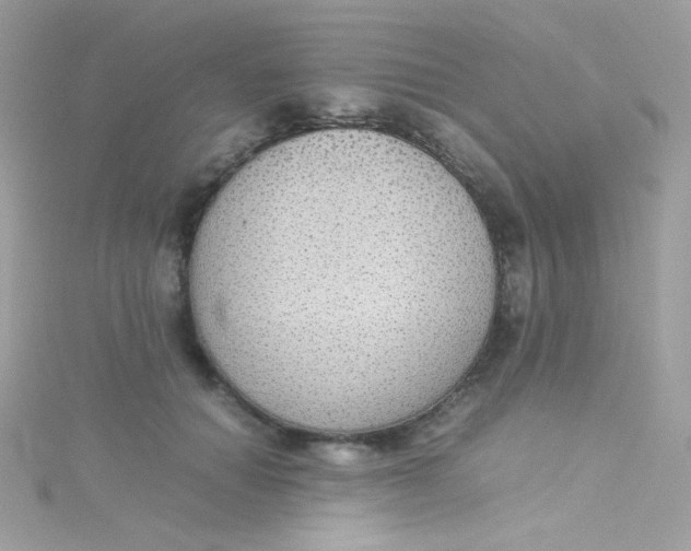 X0000115340654200911231433