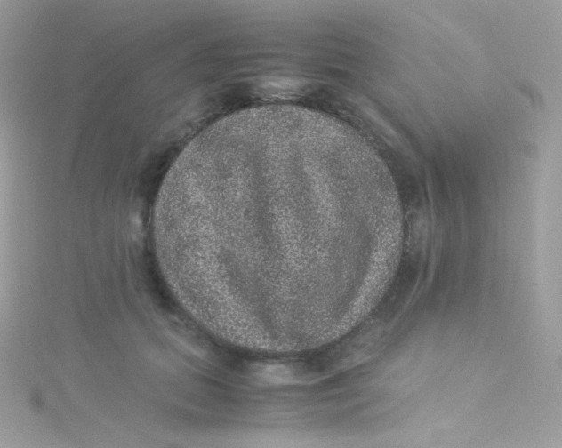 X0000115340655200911231433