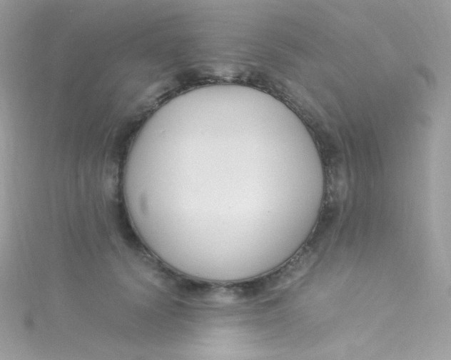 X0000115340656200911231433