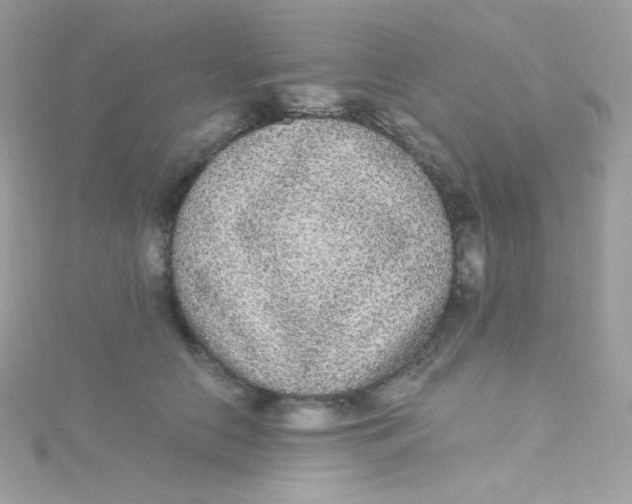 X0000115340658200911231434