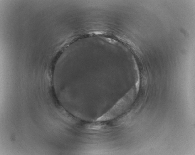 X0000115340661200911231434