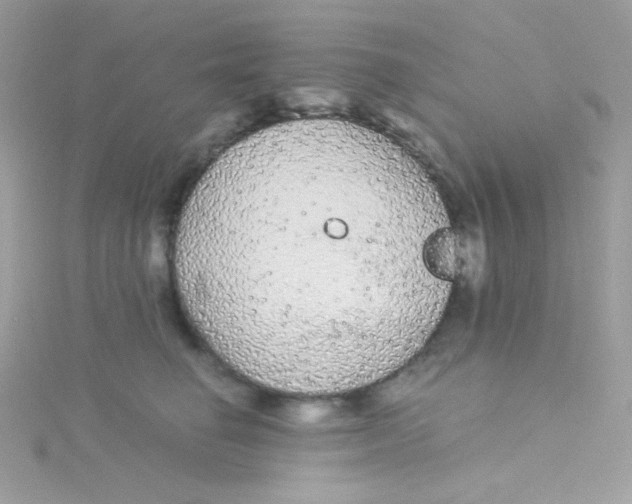 X0000115340662200911231434