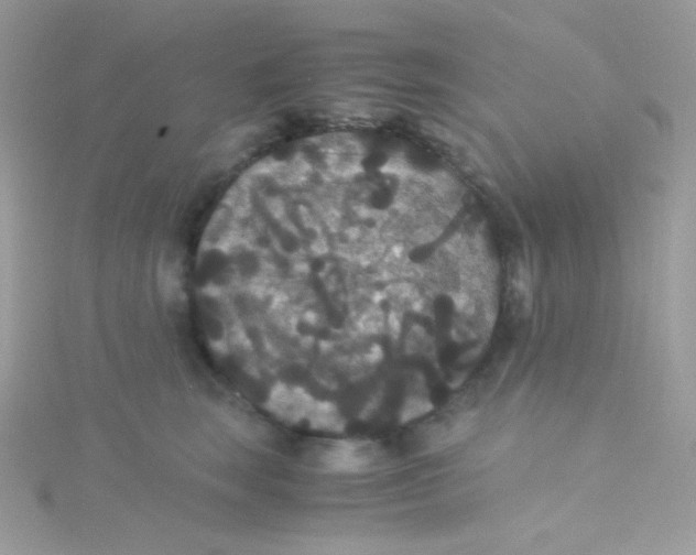 X0000115340663200911231434