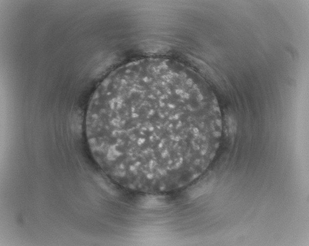 X0000115340664200911231434