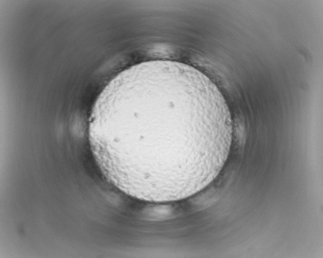 X0000115340665200911231434