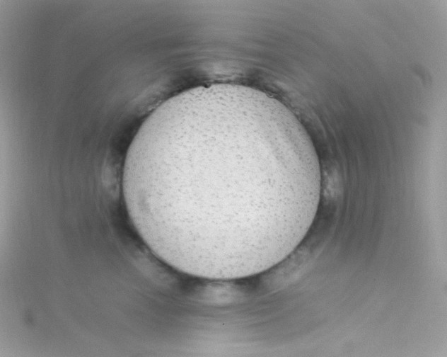 X0000115340666200911231434