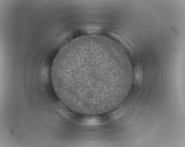 X0000115340667200911231434