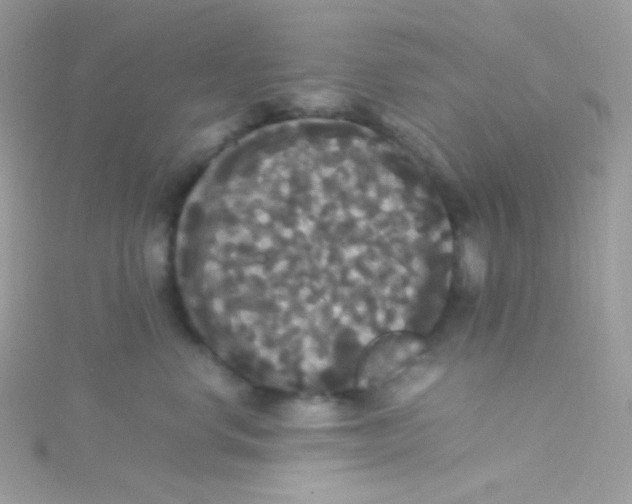 X0000115340668200911231434