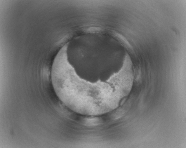 X0000115340669200911231434