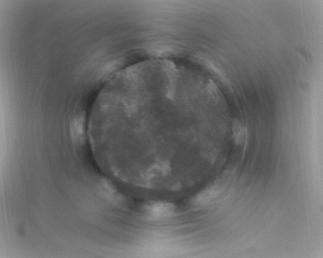 X0000115340670200911231434