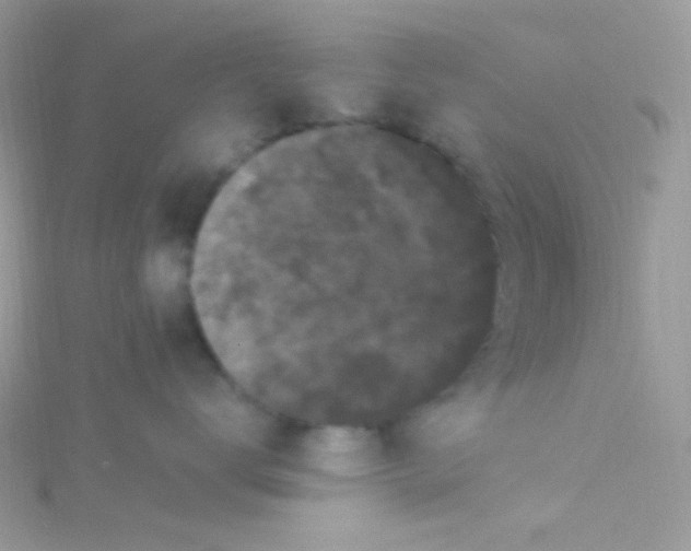 X0000115340672200911231434