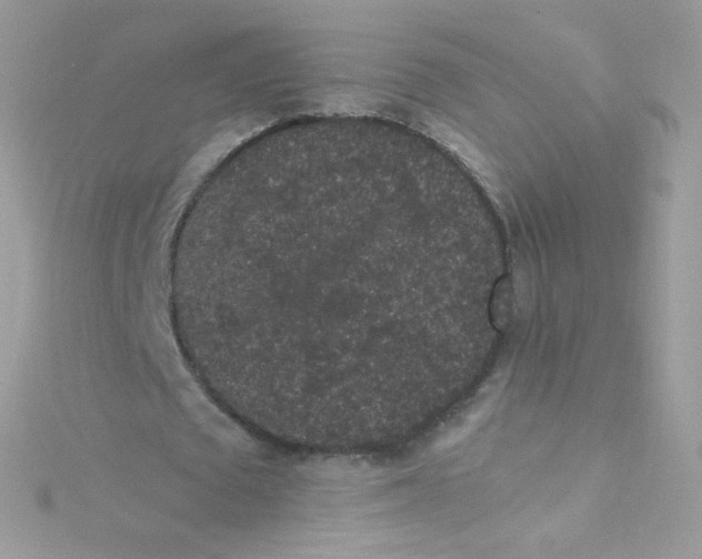 X0000115340673200911231433