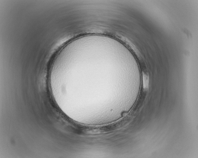 X0000115340675200911231433