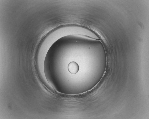 X0000115340677200911231433