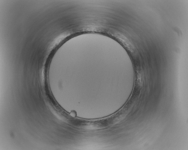 X0000115340678200911231433