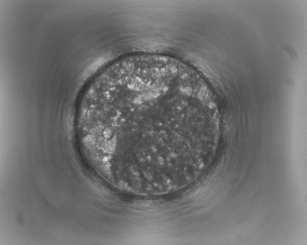 X0000115340679200911231433