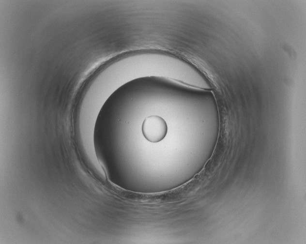 X0000115340680200911231433