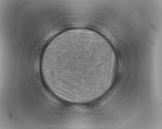 X0000115340681200911231433