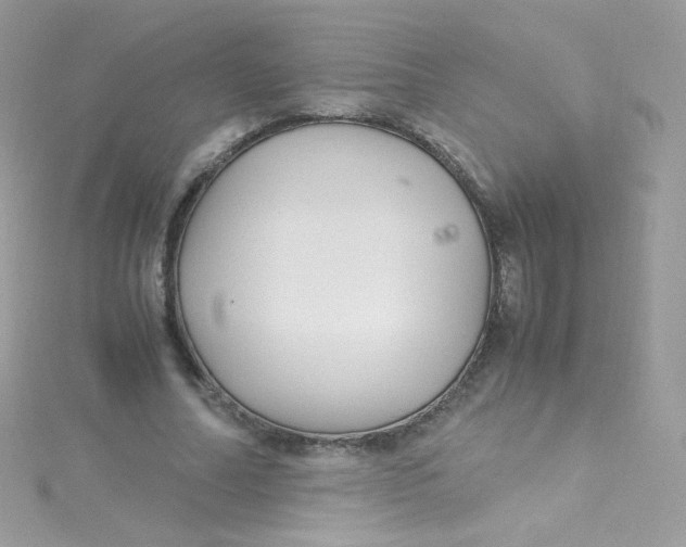 X0000115340682200911231433