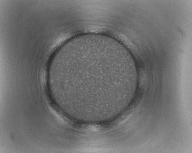 X0000115340683200911231433