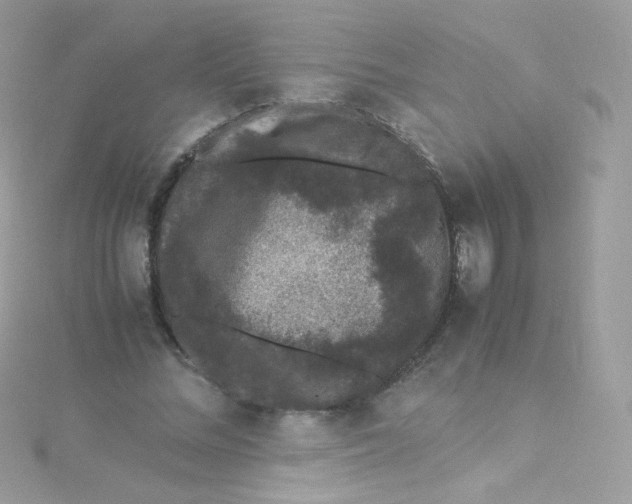 X0000115340684200911231433